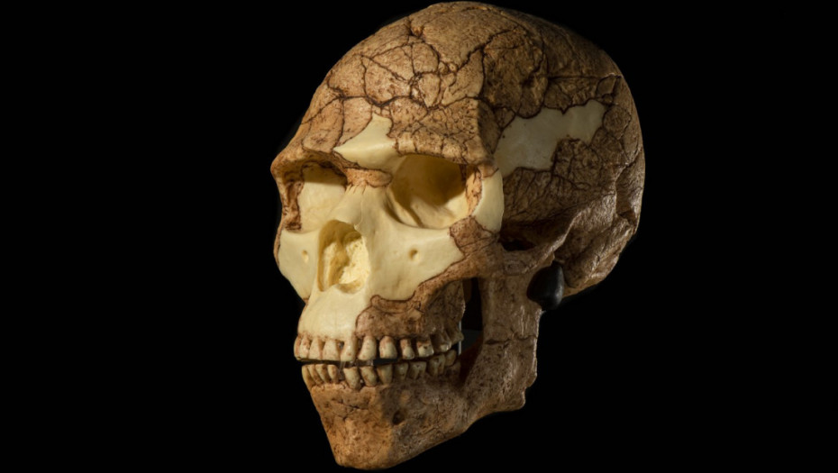 Naučnici analizirali drevni zub iz Sibira i otkrili moguće dokaze da su neandertalci izvodili primitivne stomatološke zahvate