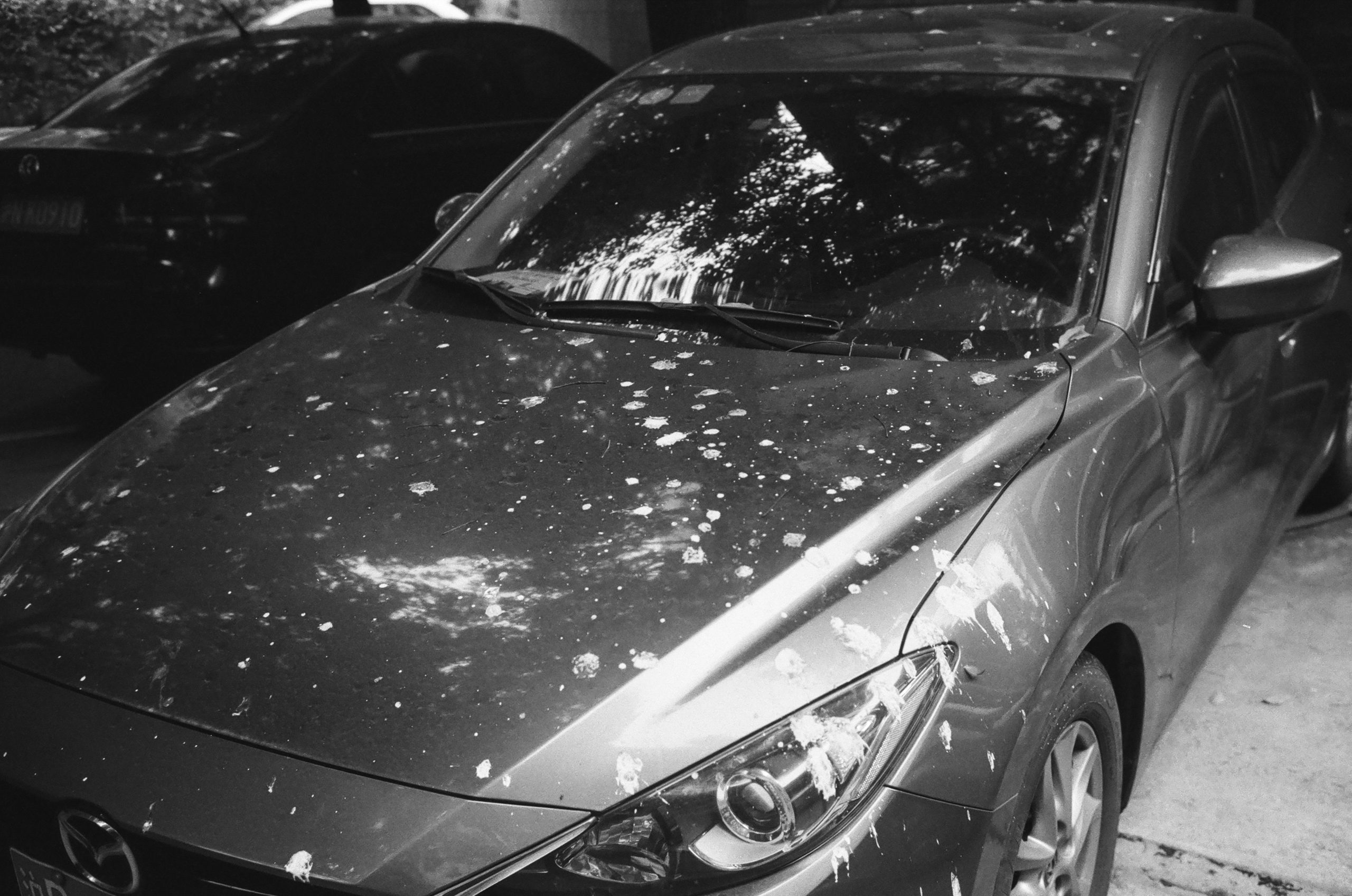 Ptičji izmet na automobilu: Kako oštećuje lak i kako pravilno reagovati na vreme