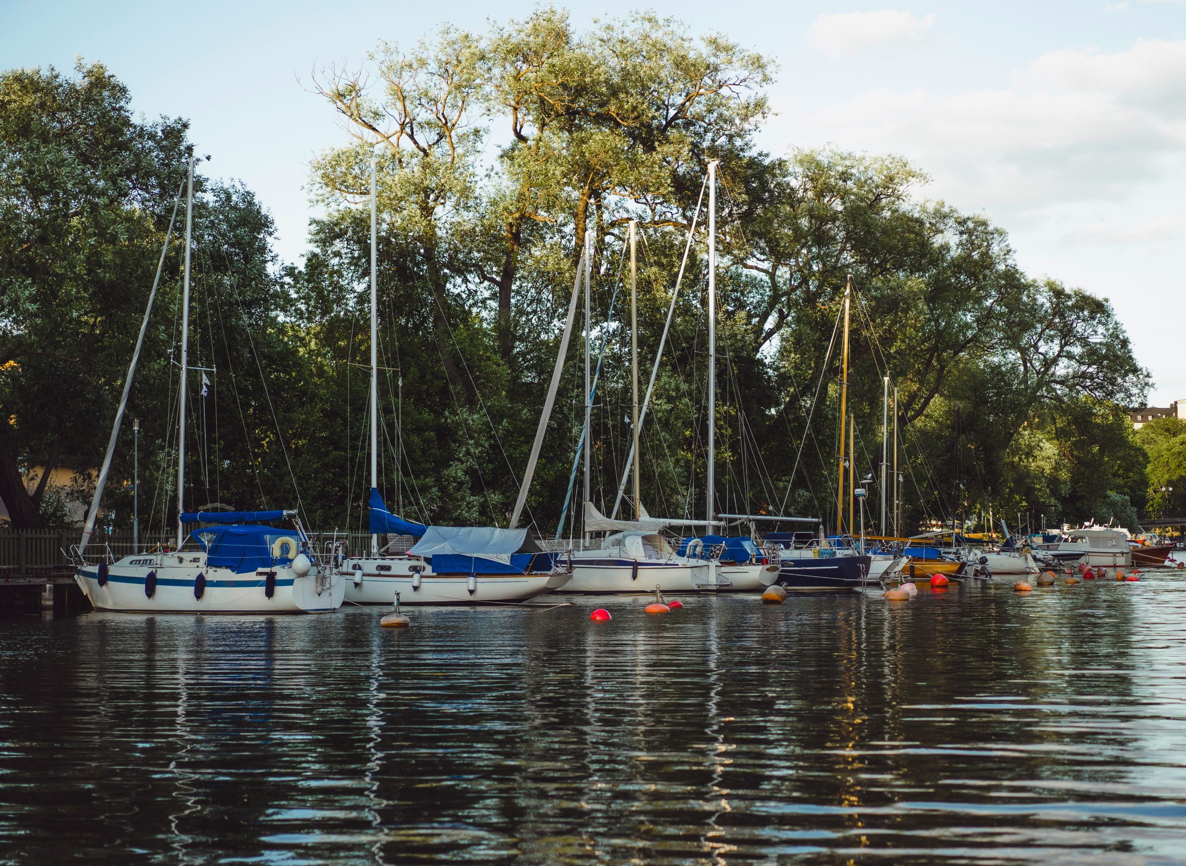Regata „Vode Vojvodine“ i ove godine stiže u Sombor – otvorene prijave