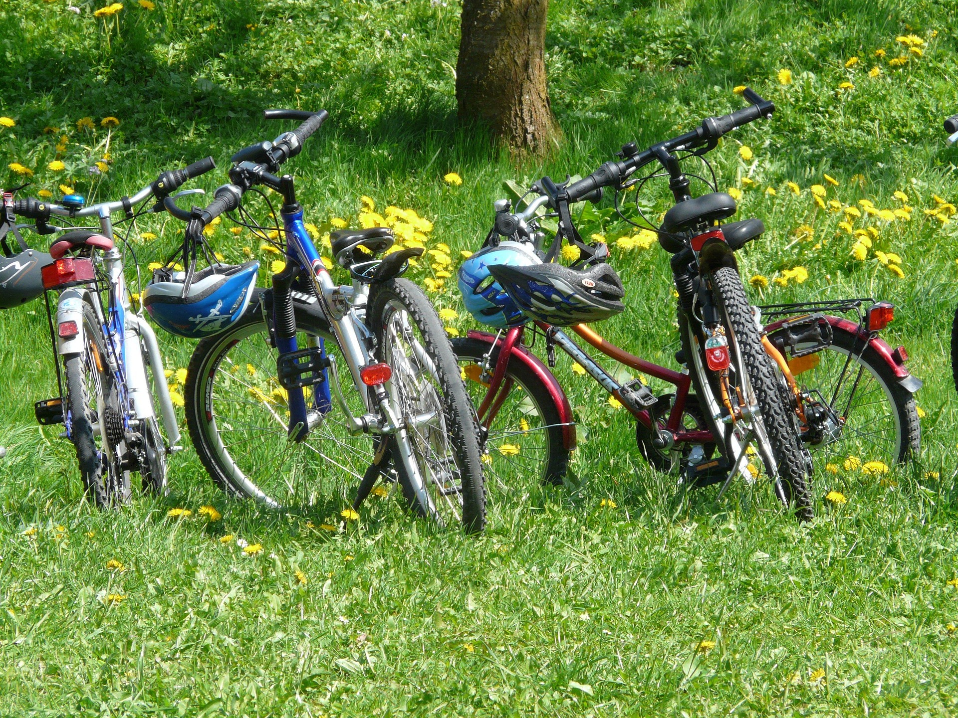 Biciklistički izlet kroz Gornje Podunavlje u nedelju u Apatinu