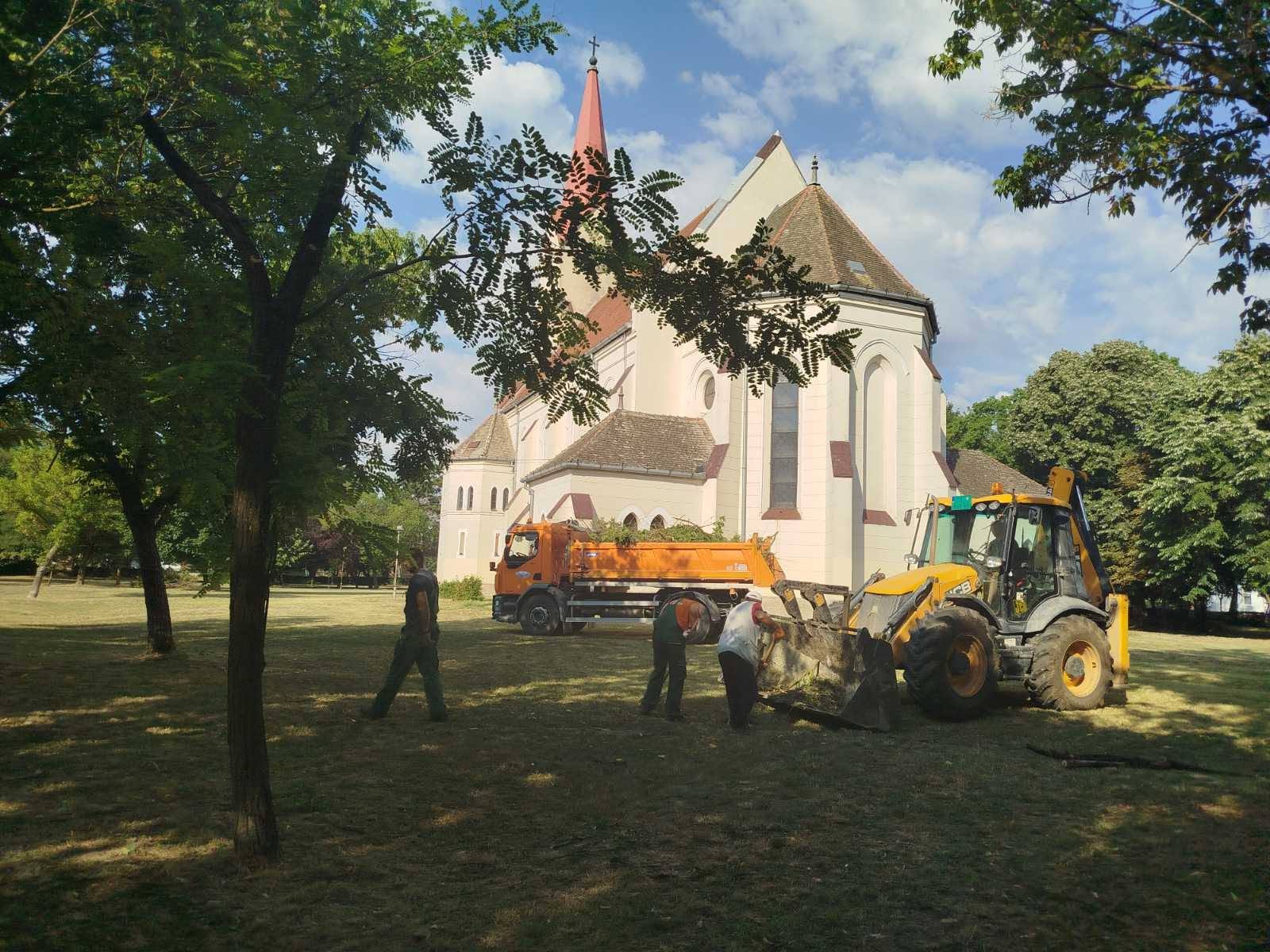 U Svilojevu uređene zelene površine uoči „Pasuljijade“