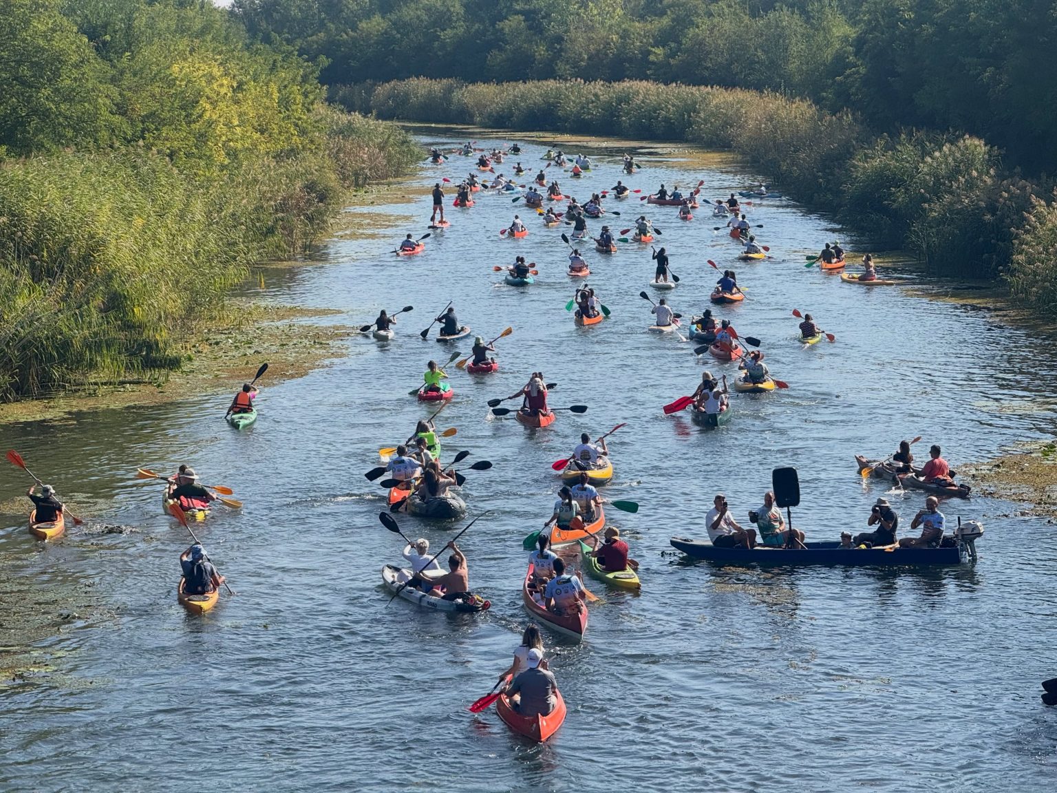 Veslima od Sombora do Kule: „Kulska regata“ okupila oko 170 učesnika